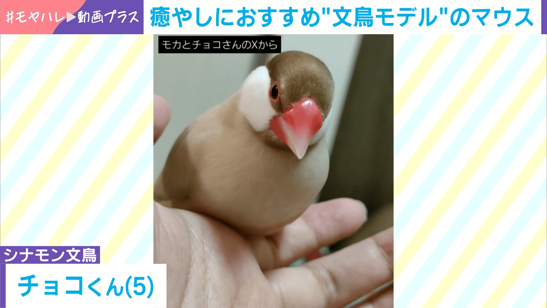 thumb001.png?height=720&