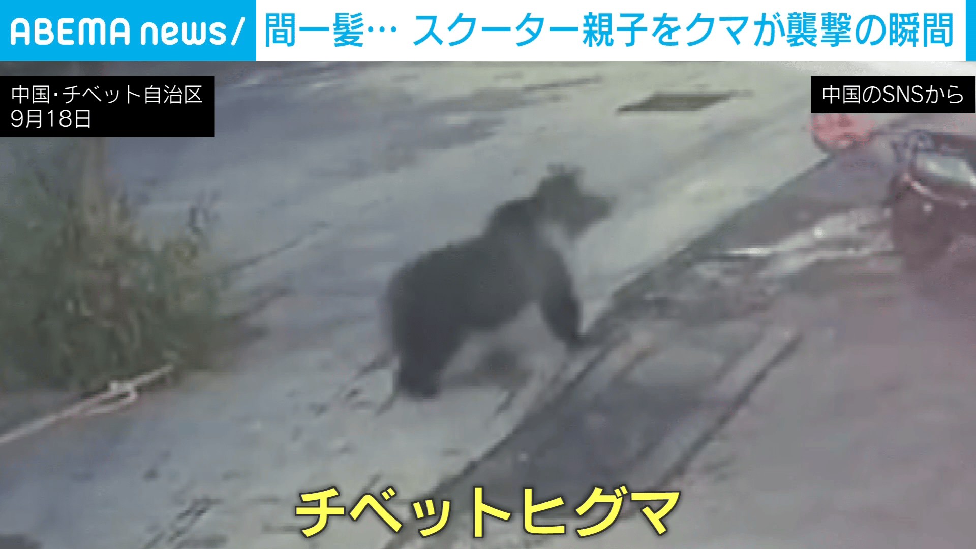 キャーッ」響き渡る悲鳴 スクーターで逃げる親子を疾走し追ってきたの
