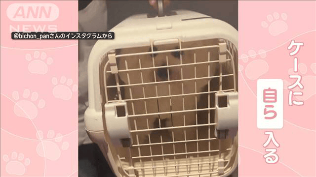本州 宅内搬入まで （本州外 玄関前で きめ細かい）