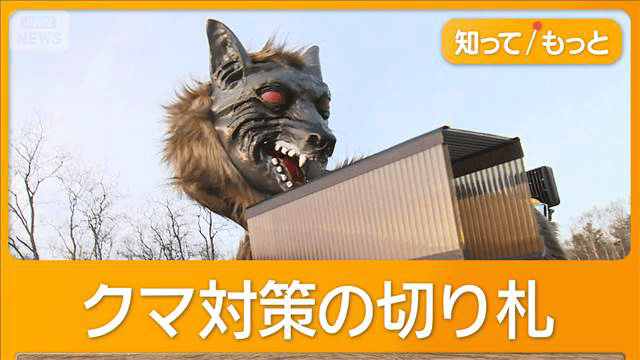 あっきゅ様オーダー品　もりのくまさん　パペット　オオカミ 消え去れ消え去れ」 クマ対策“オオカミ型ロボット”が進化 スピーカーを
