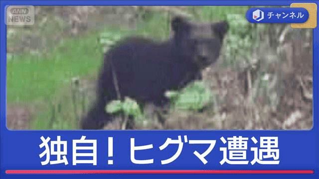 取材中ヒグマと遭遇…ゴールデンウィークどこに出る？ - 最新の社会