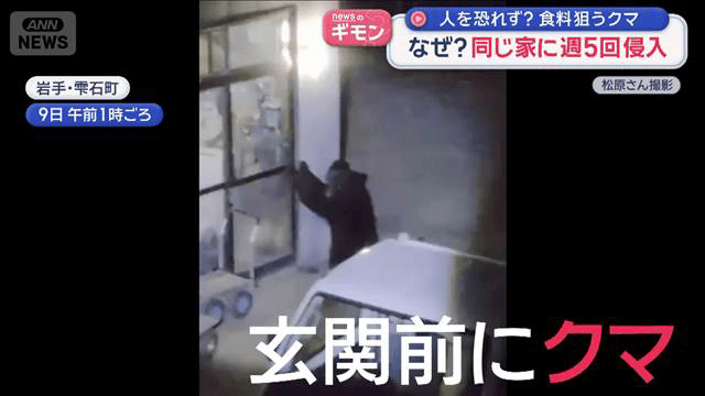 人を恐れず食料狙うクマ 同じ家に週5回侵入 専門家「家をエサ場と認識