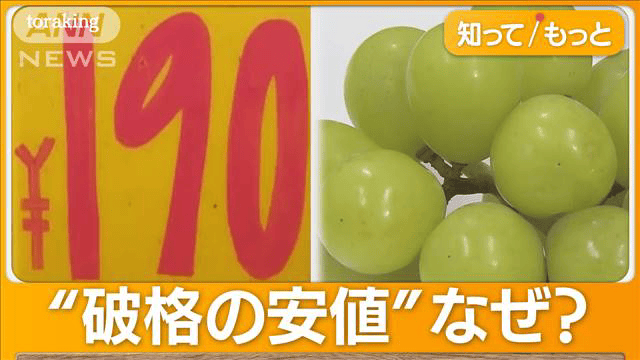 最新の経済ニュース【随時更新】 - “1パック190円”あった!?シャインマスカット　「世界一かも」…奈良の店で激安の理由