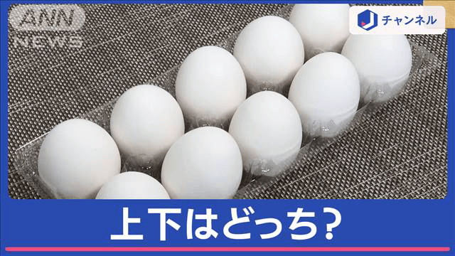 最新の経済ニュース【随時更新】 - たまごに上下ってあるの？「尖った方」と「丸い方」保管の際に“下”を向くのは？