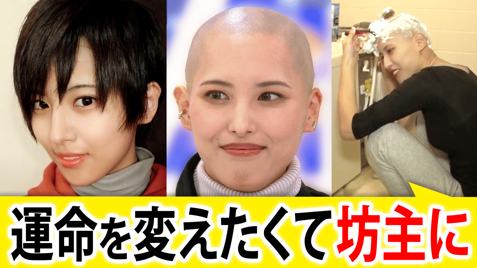 170cm 人権
