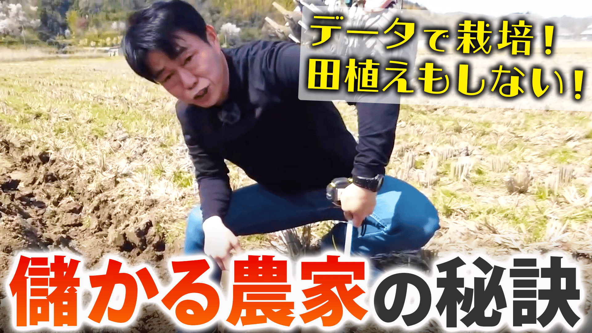 現代農業 90年代 そのぞれ農業 現代農業 90年代 そのぞれ農業 現代農業 90年代 そのぞれ農業