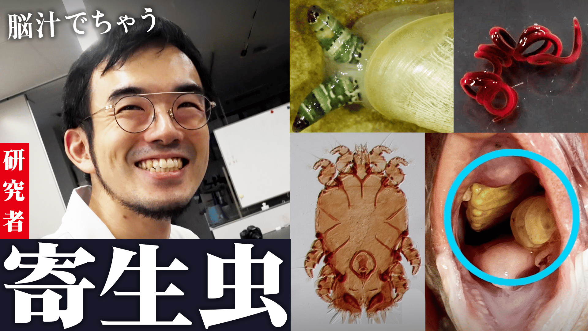 thumb001.png?height=144&