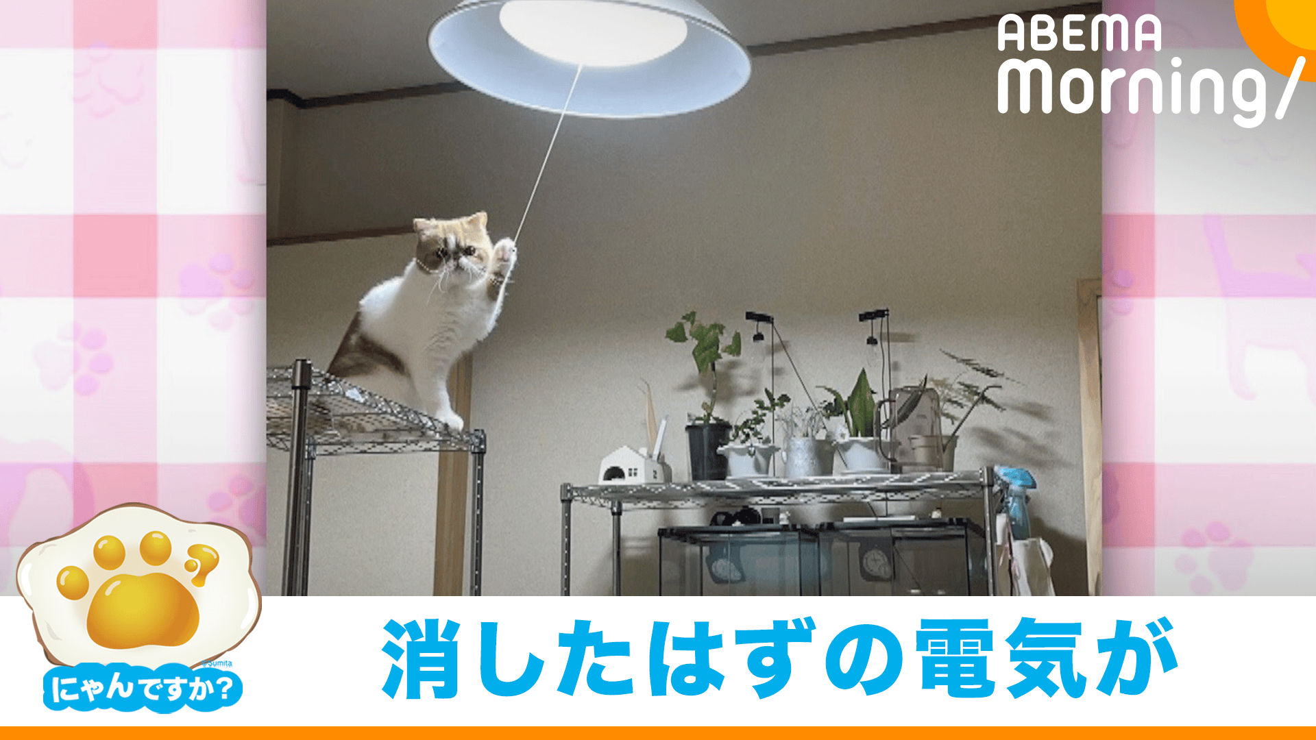 犯人は