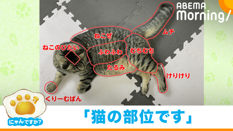 ABEMA Morning【平日あさ7時〜生放送】 - 