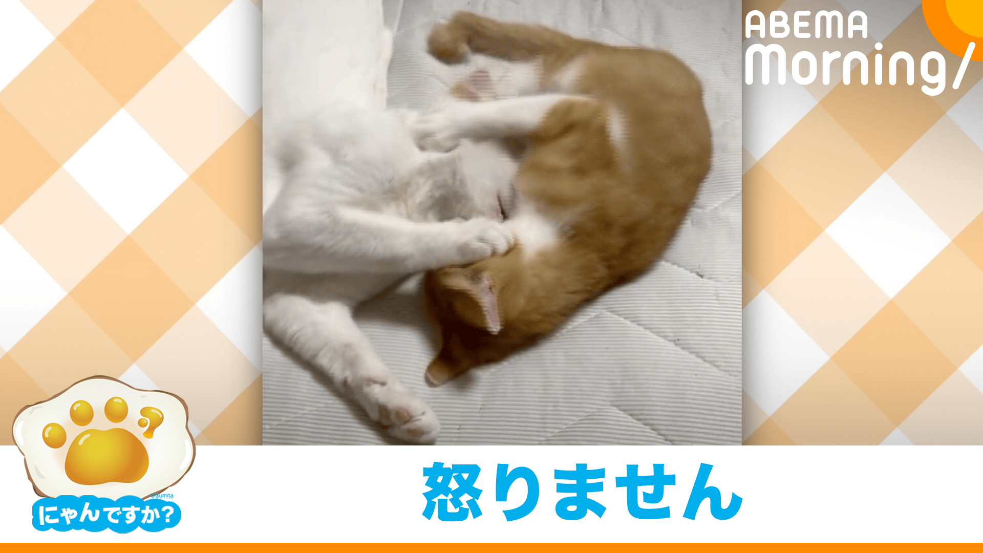 にゃんです！おまとめです！ お兄ちゃん