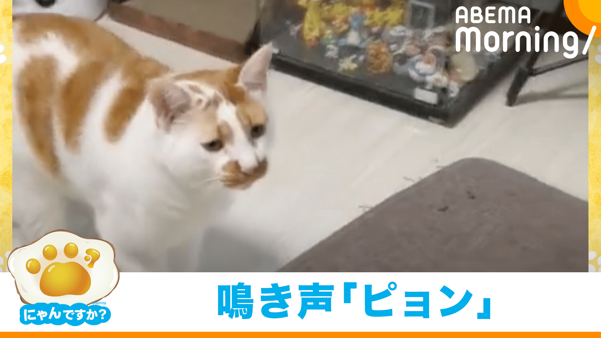 おまとめ中　　　　　　　　　　蓄光　ジャンピング猫　おすわり猫 おまとめ中 蓄光 ジャンピング猫 おすわり猫 【公式通販】