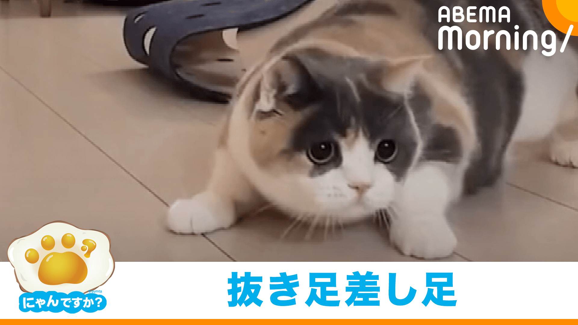 こそ泥