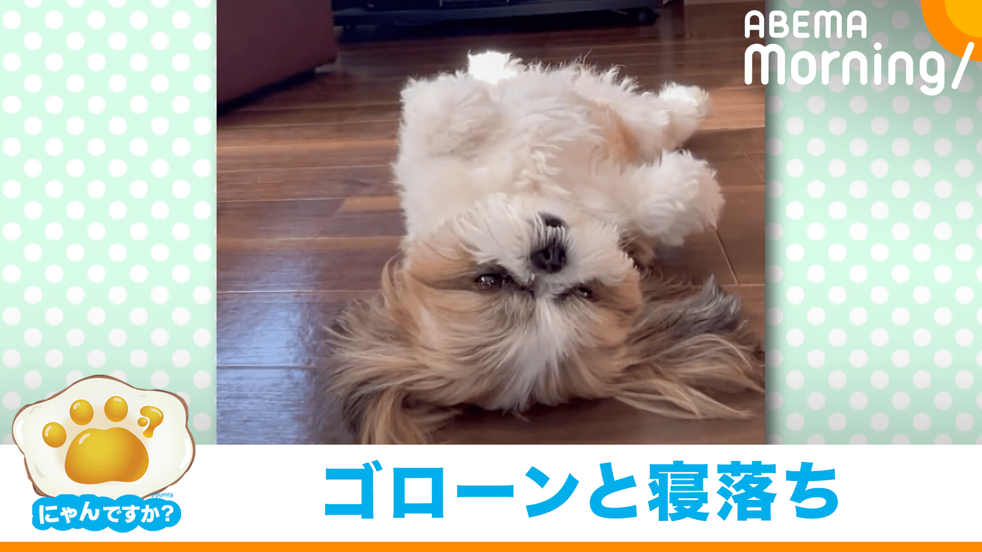 thumb001.png?height=720& 