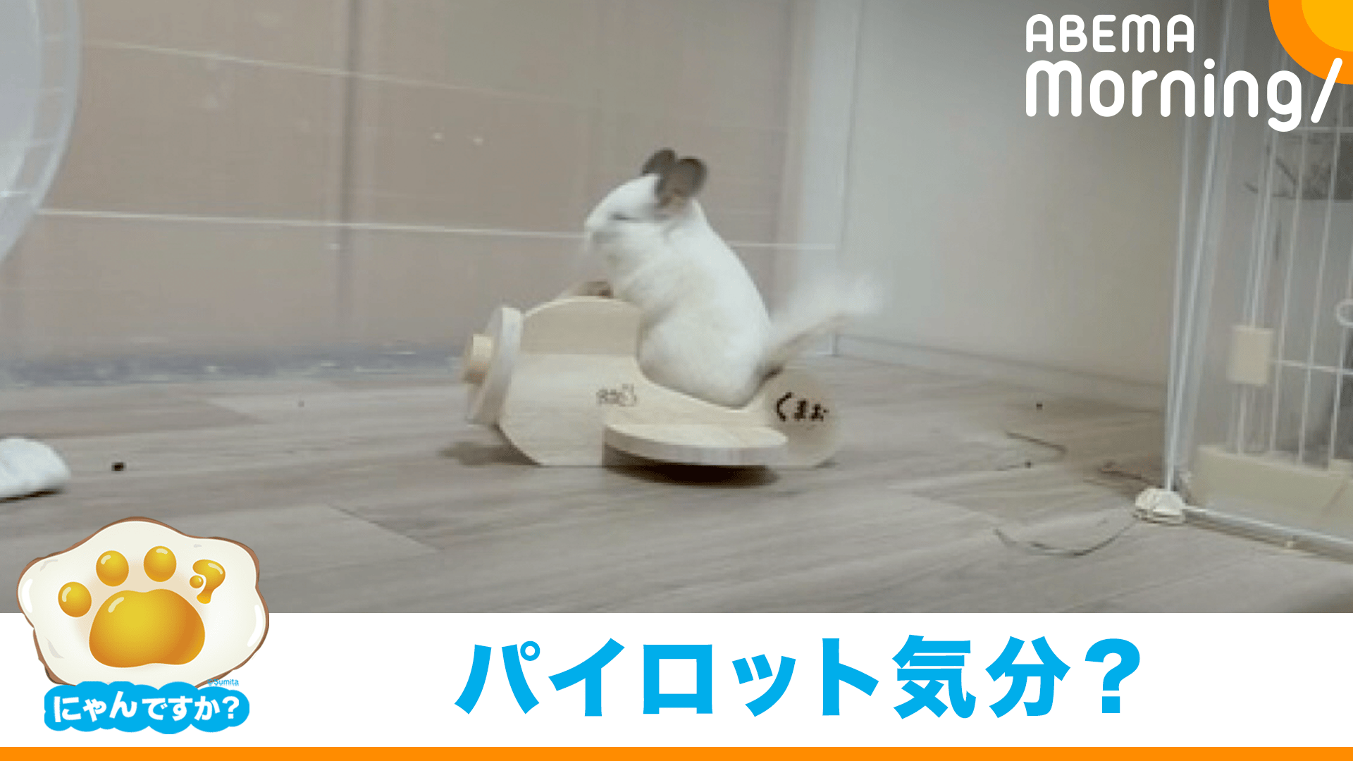 thumb001.png?height=720&