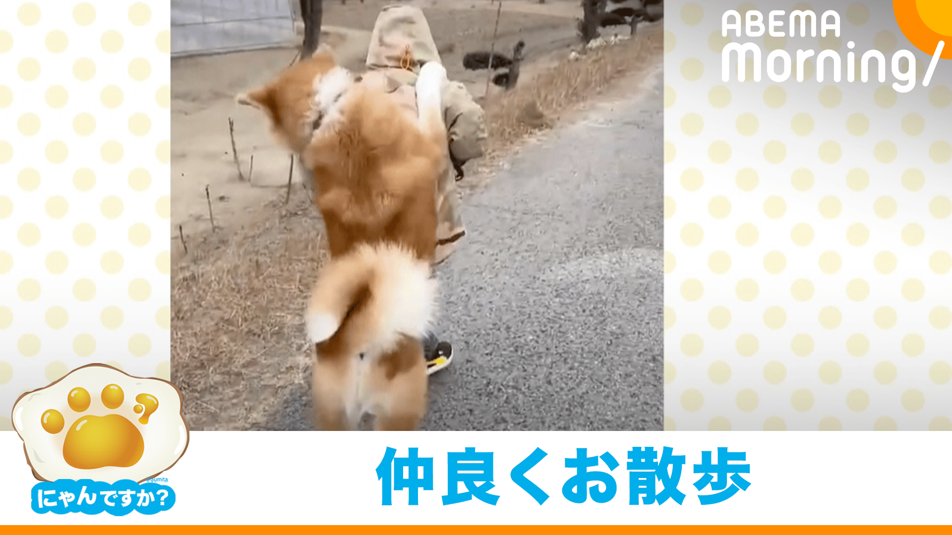 thumb001.png?height=720&