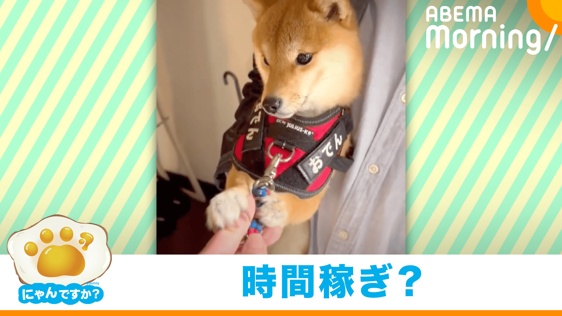 Han かて Nyanさん確認用