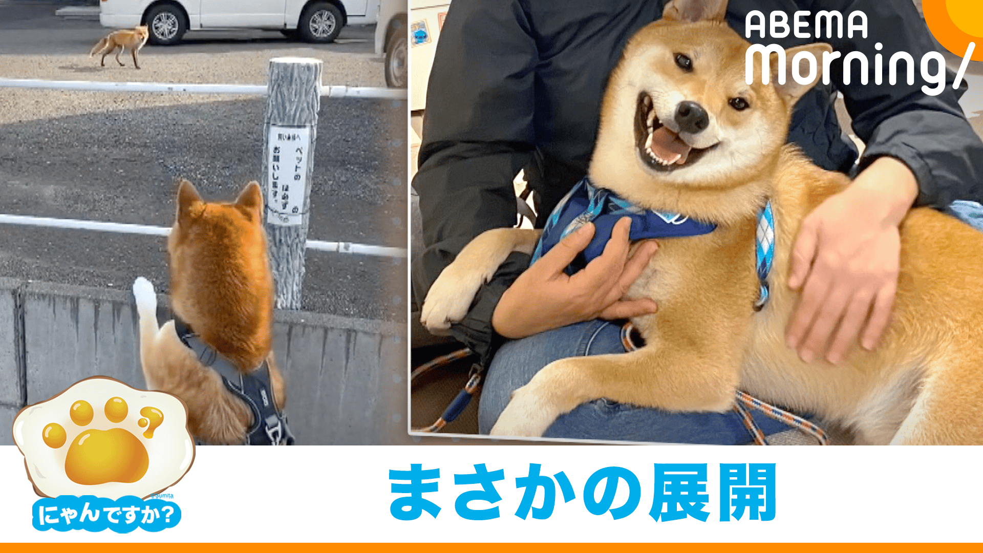 thumb001.png?height=720&