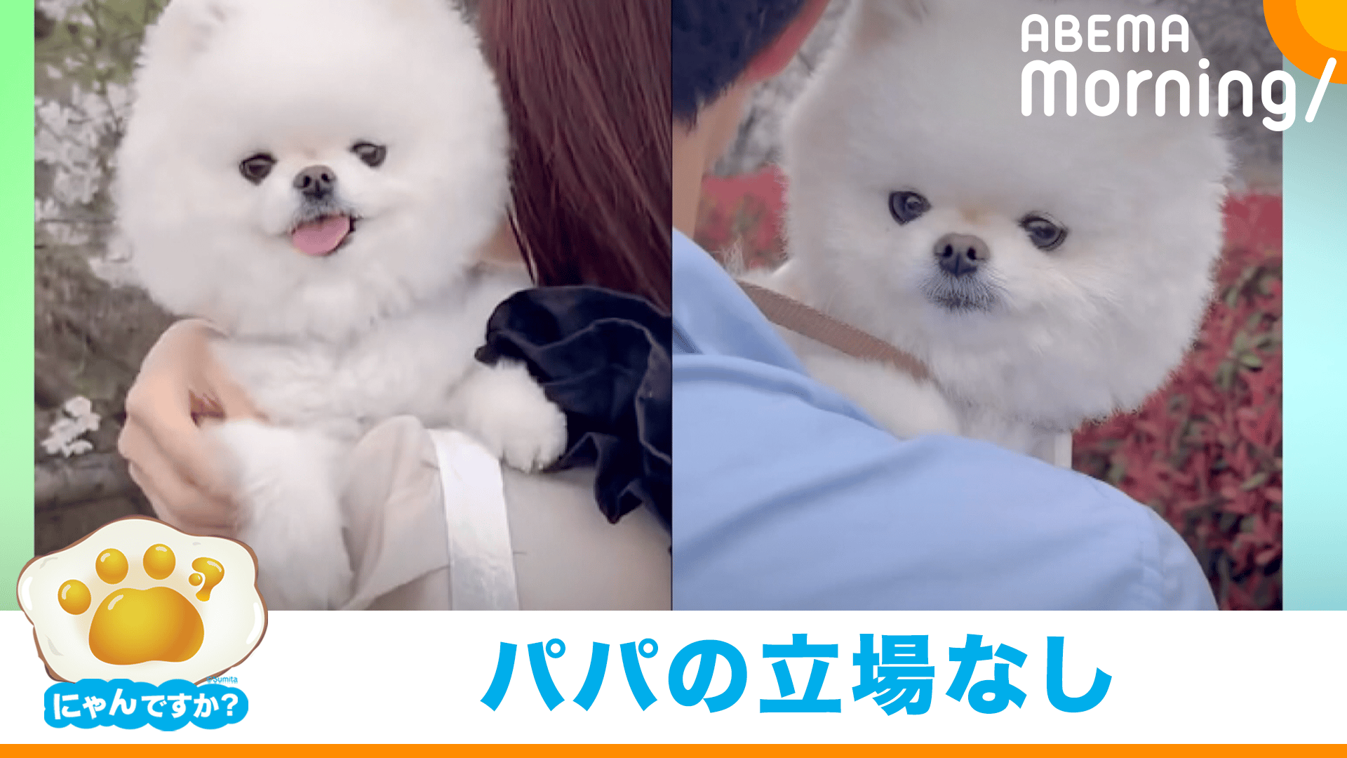 thumb001.png?height=720&