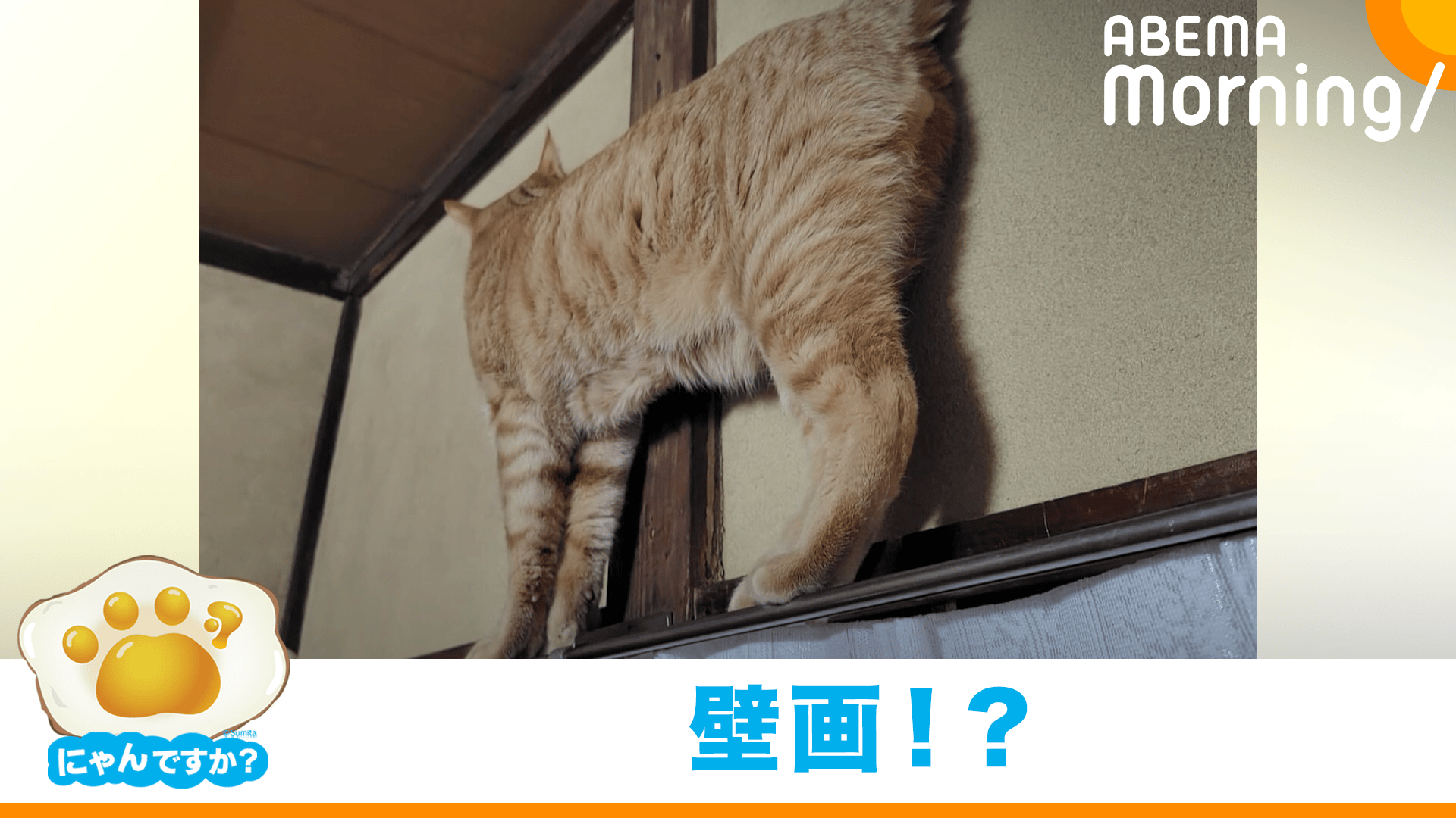 Xで話題