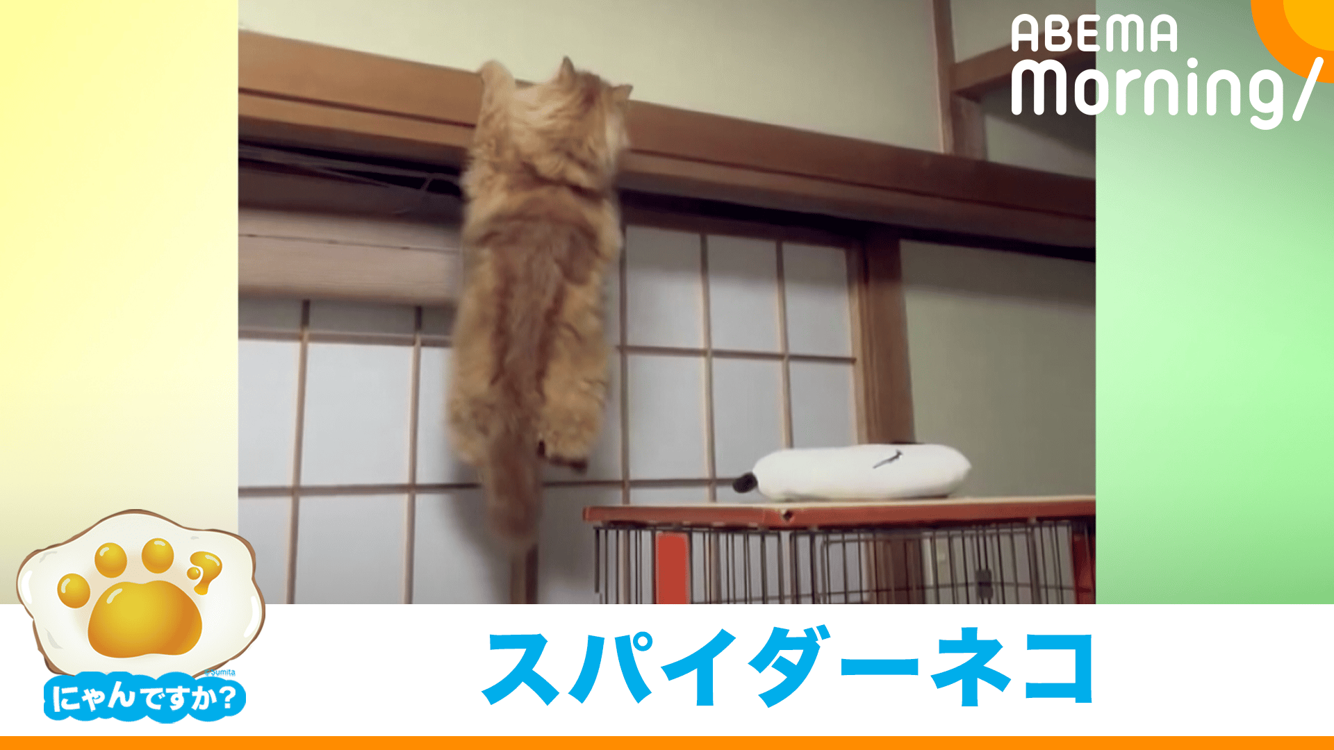 thumb001.png?height=720&