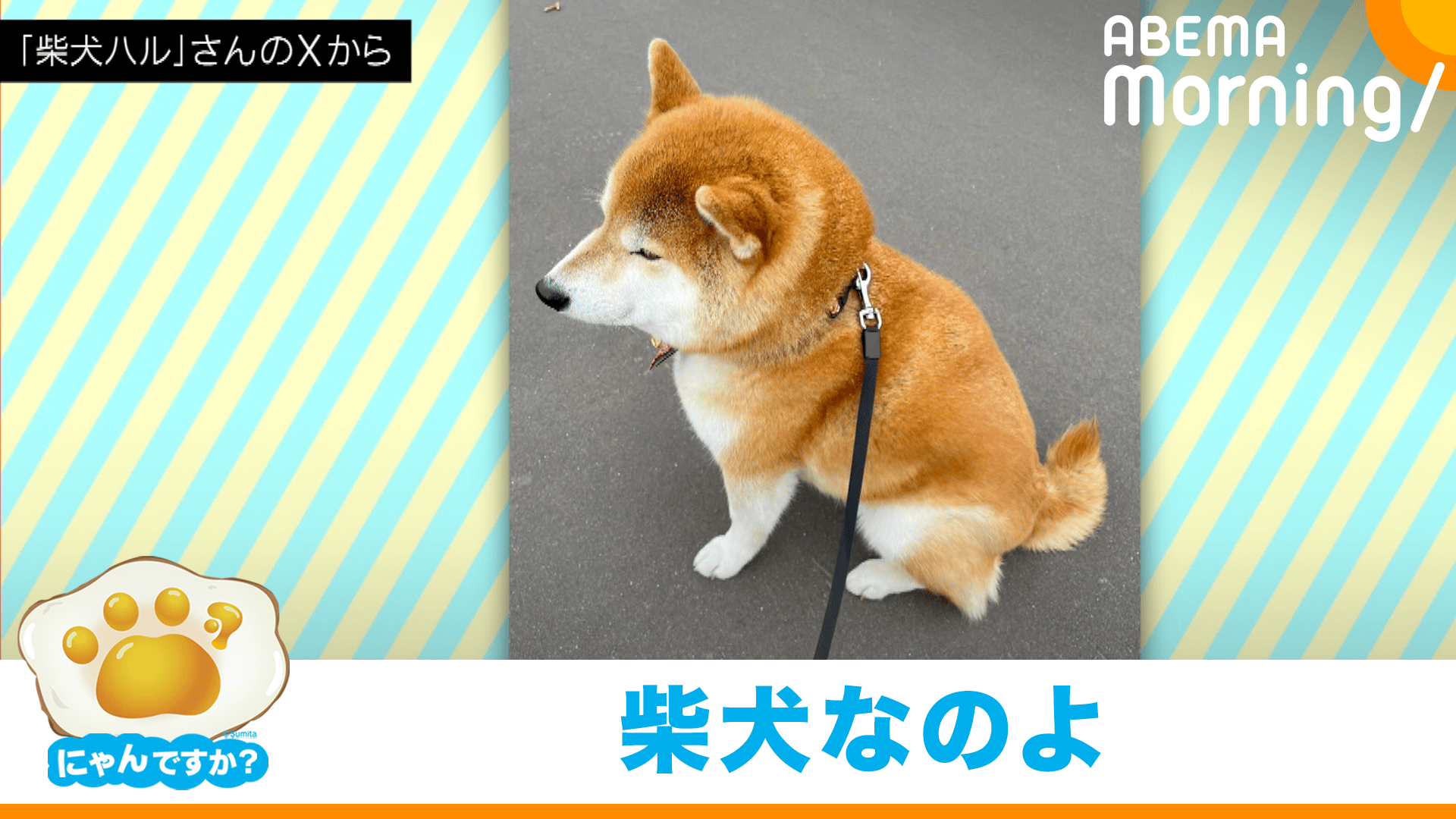 thumb001.png?height=720&