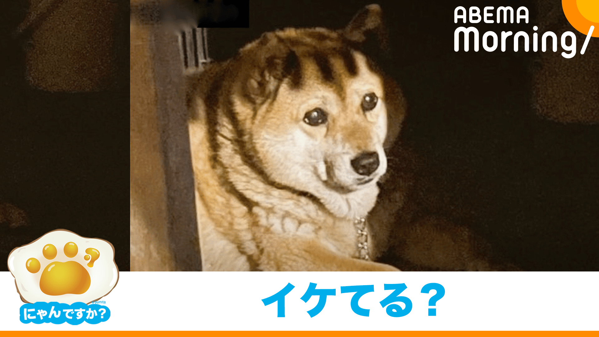 thumb001.png?height=720&