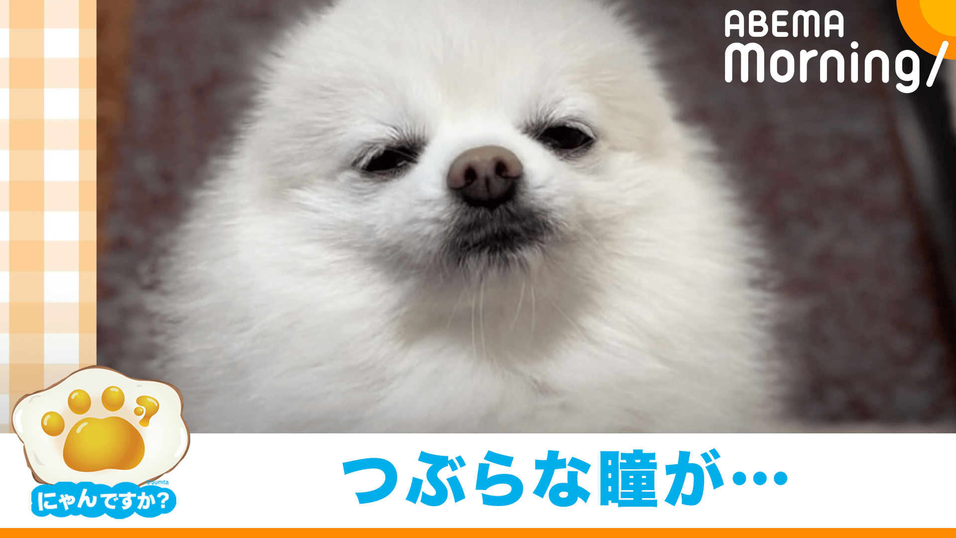 thumb001.png?height=720&