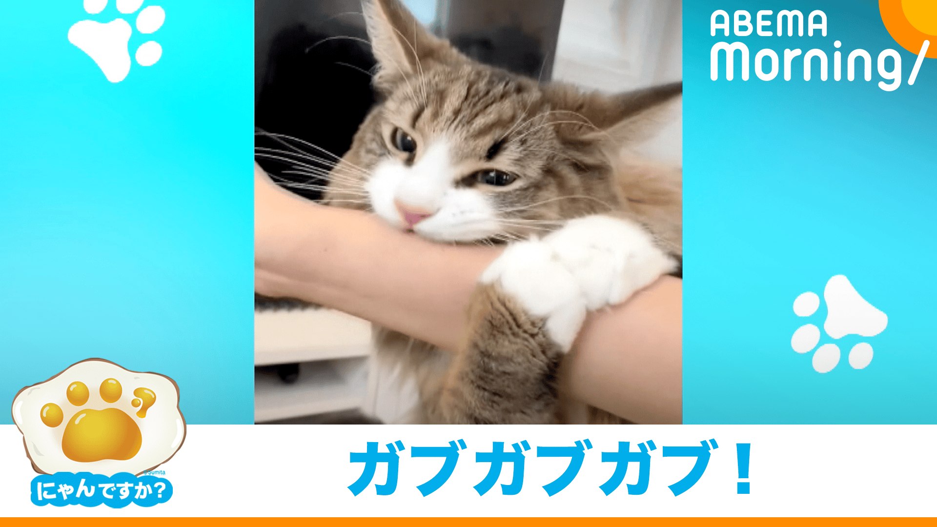 thumb001.png?height=720&