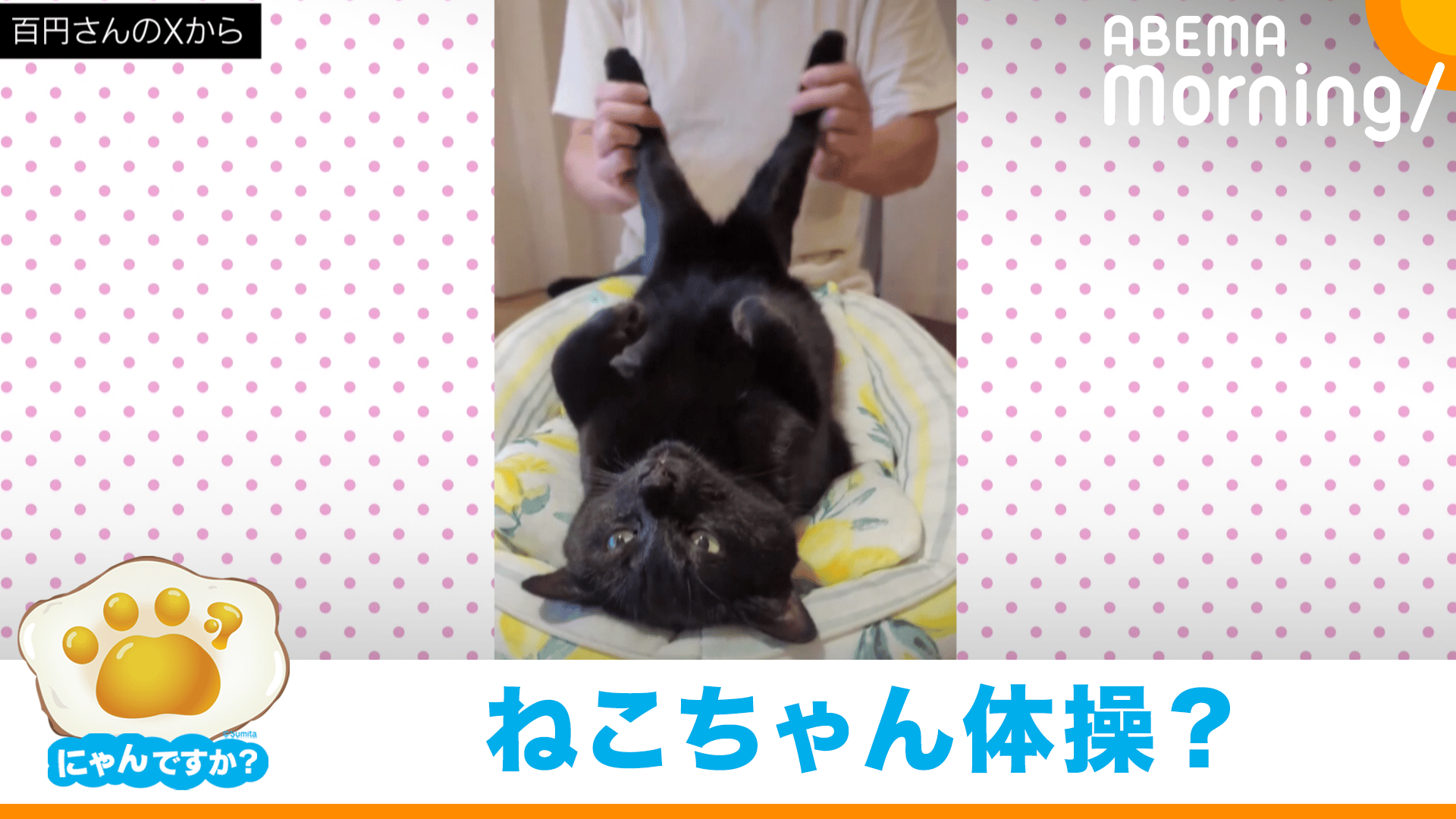 クセになる