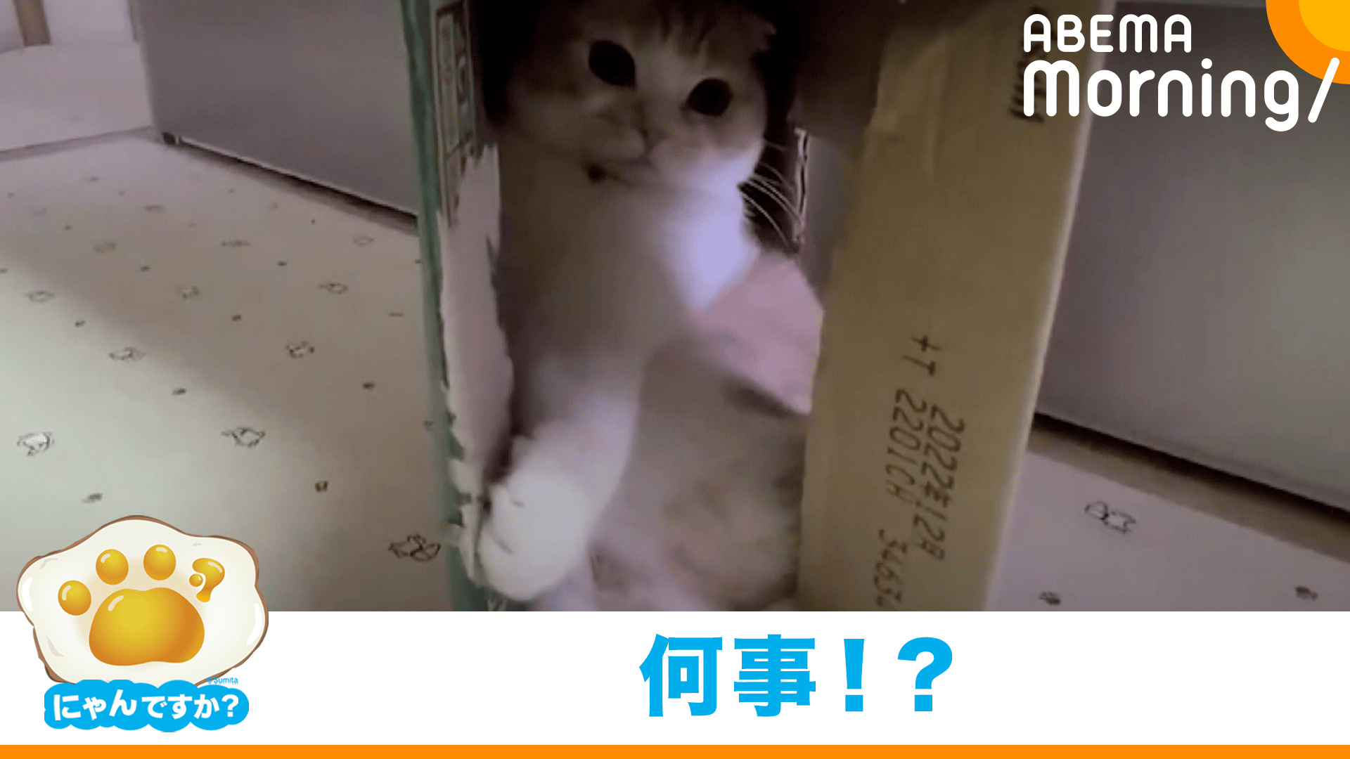 thumb001.png?height=720&