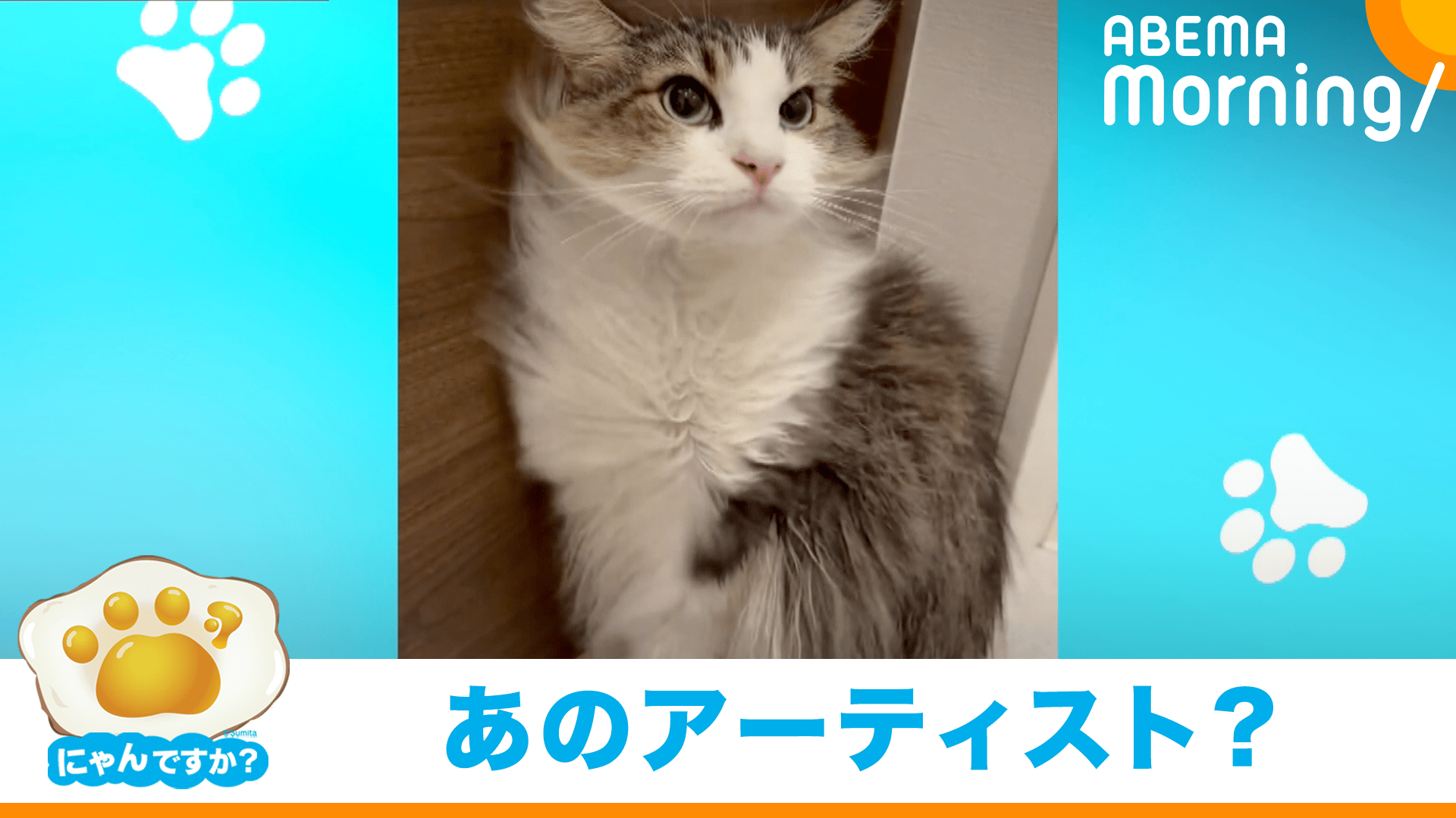 thumb001.png?height=720&