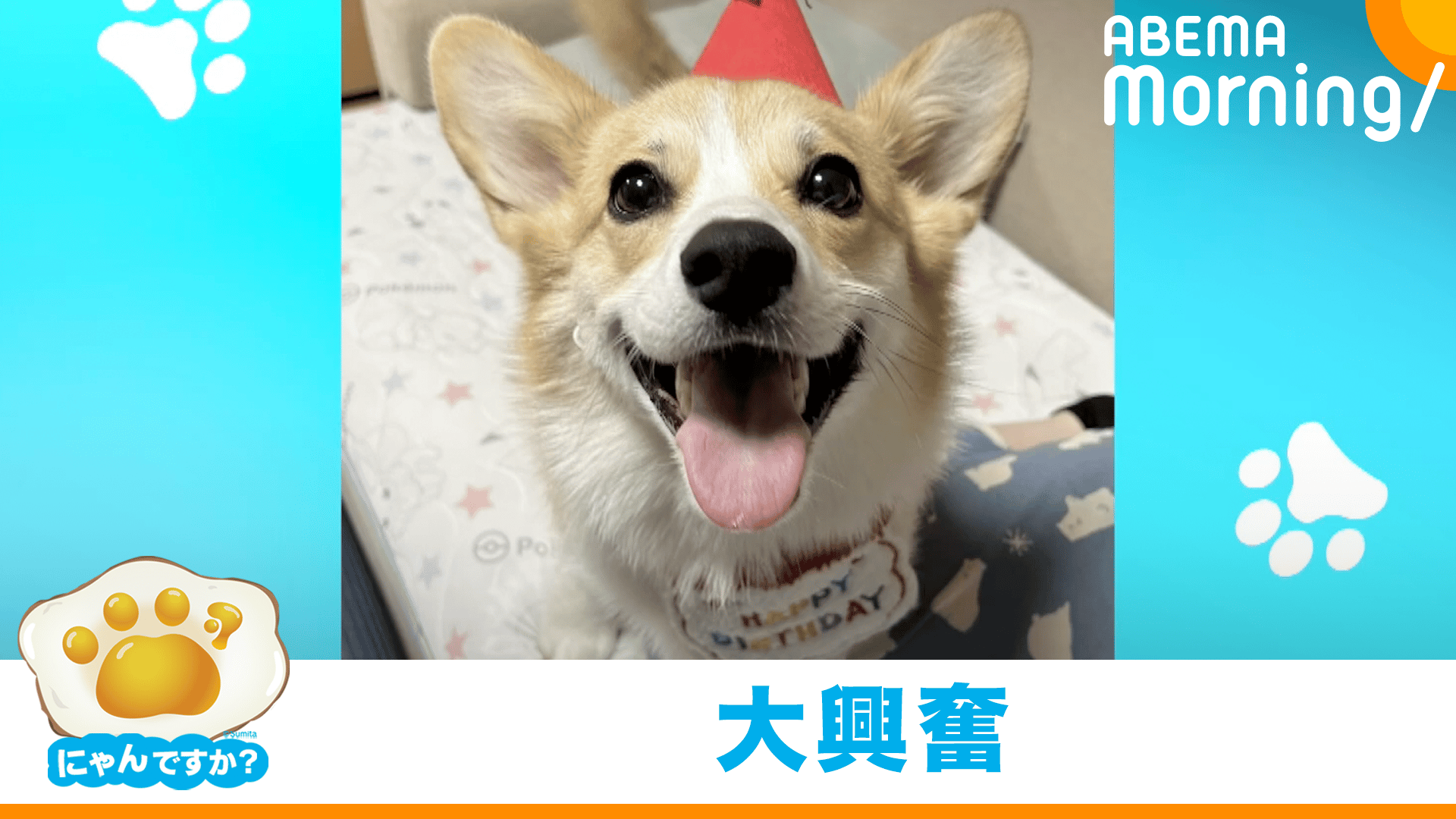 thumb001.png?height=720&