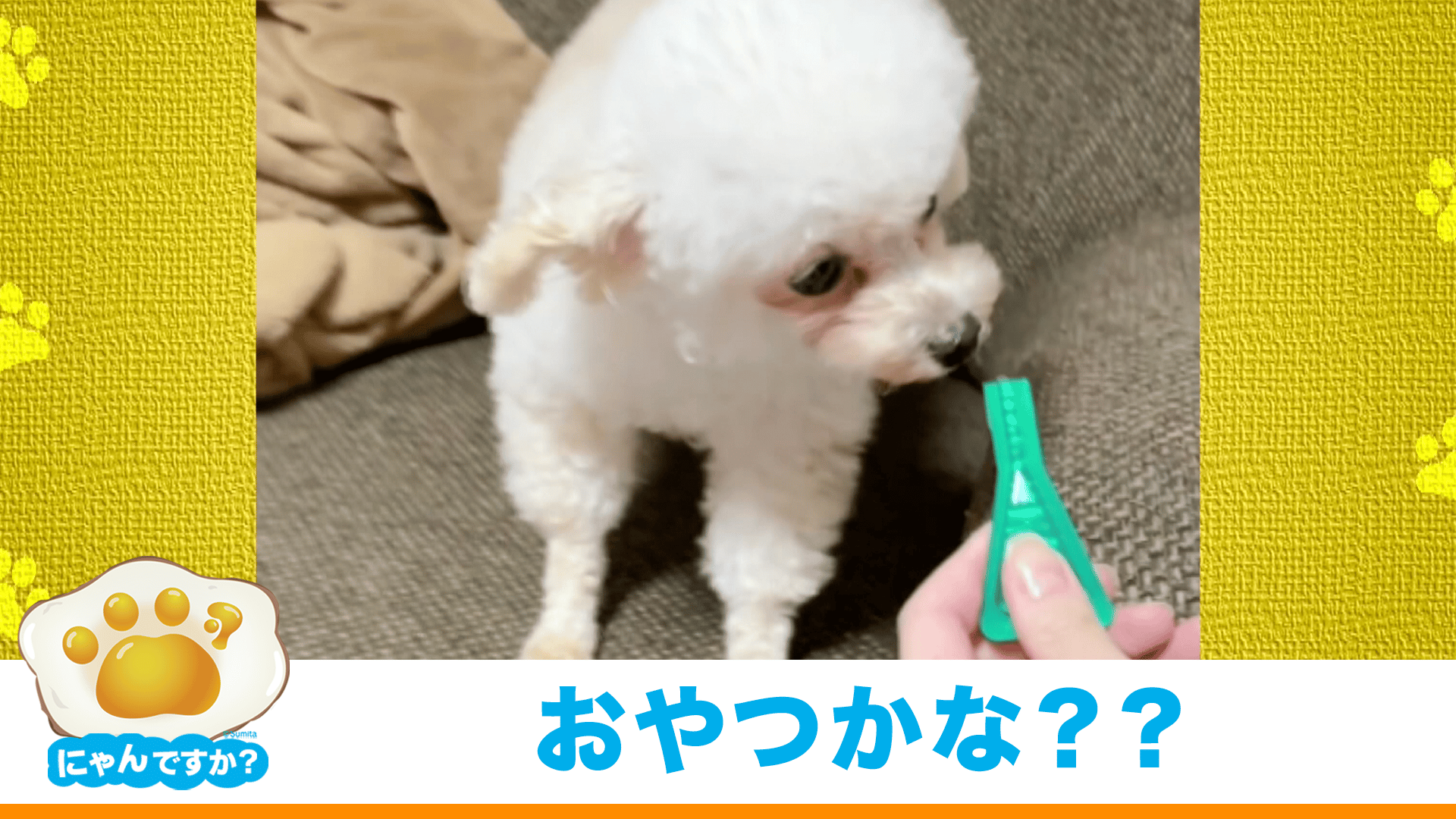 thumb001.png?height=720&