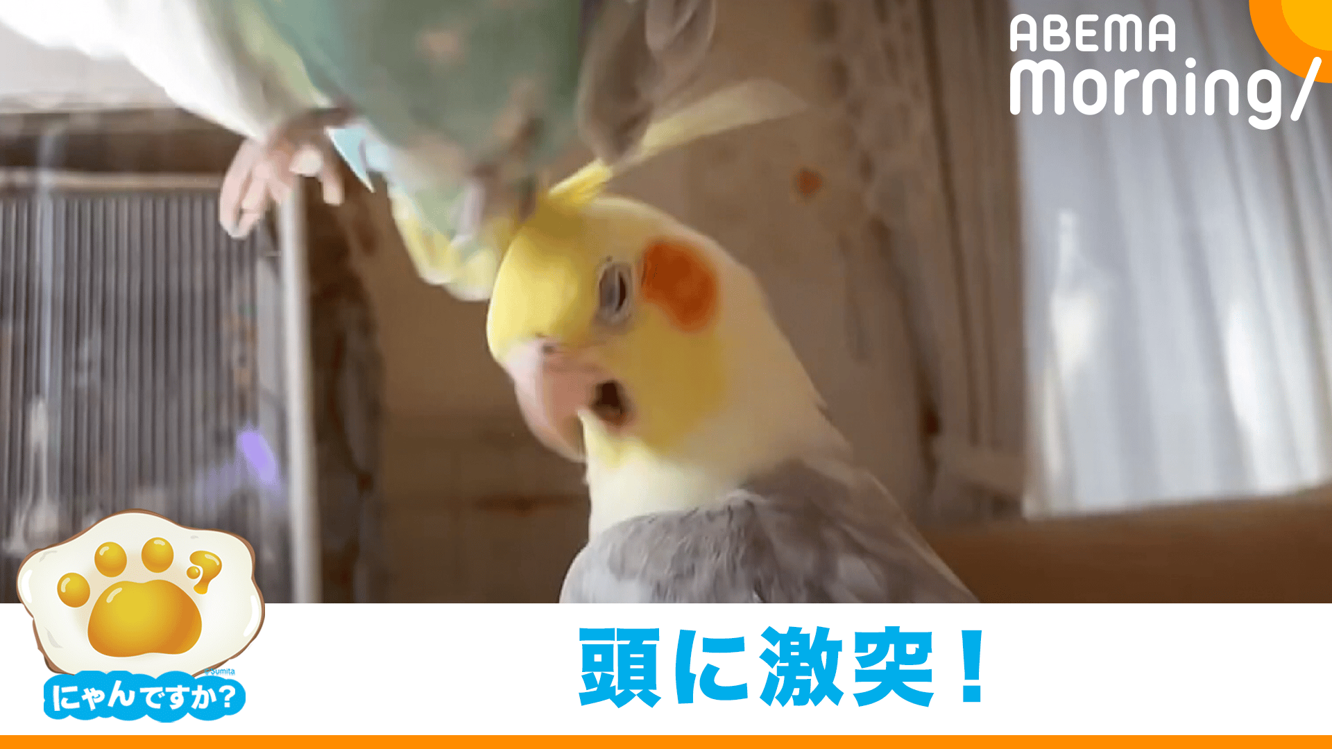 thumb001.png?height=720&