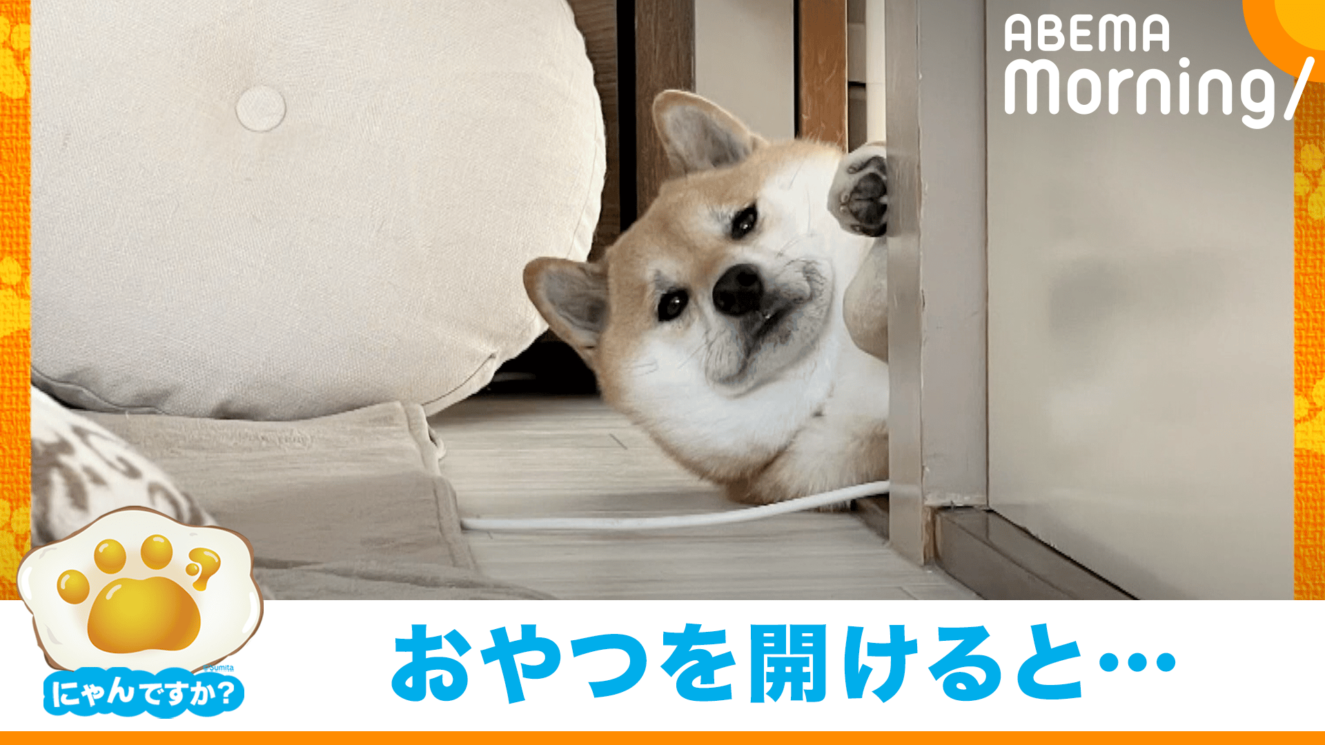 thumb001.png?height=720&