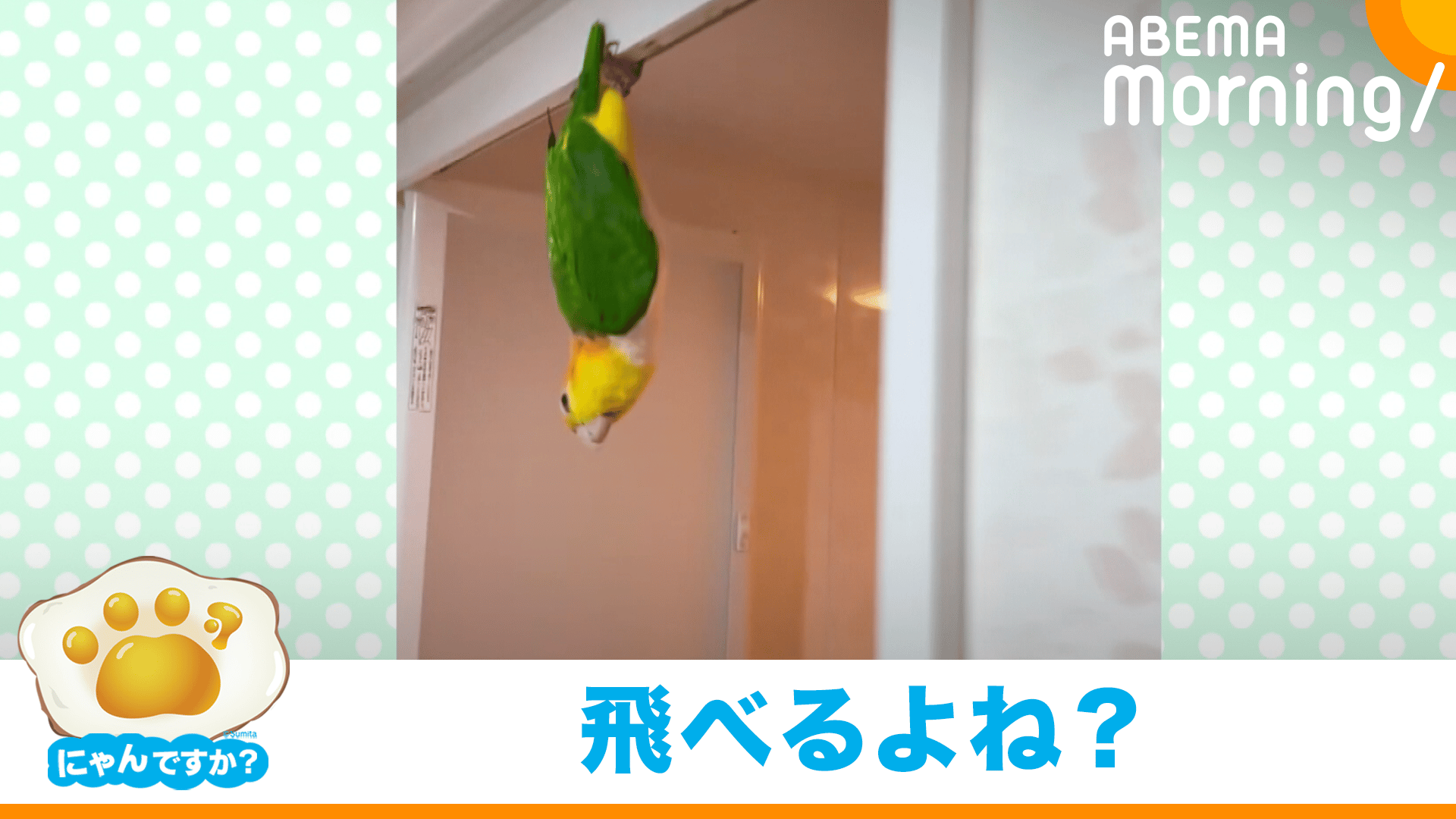 thumb001.png?height=720&