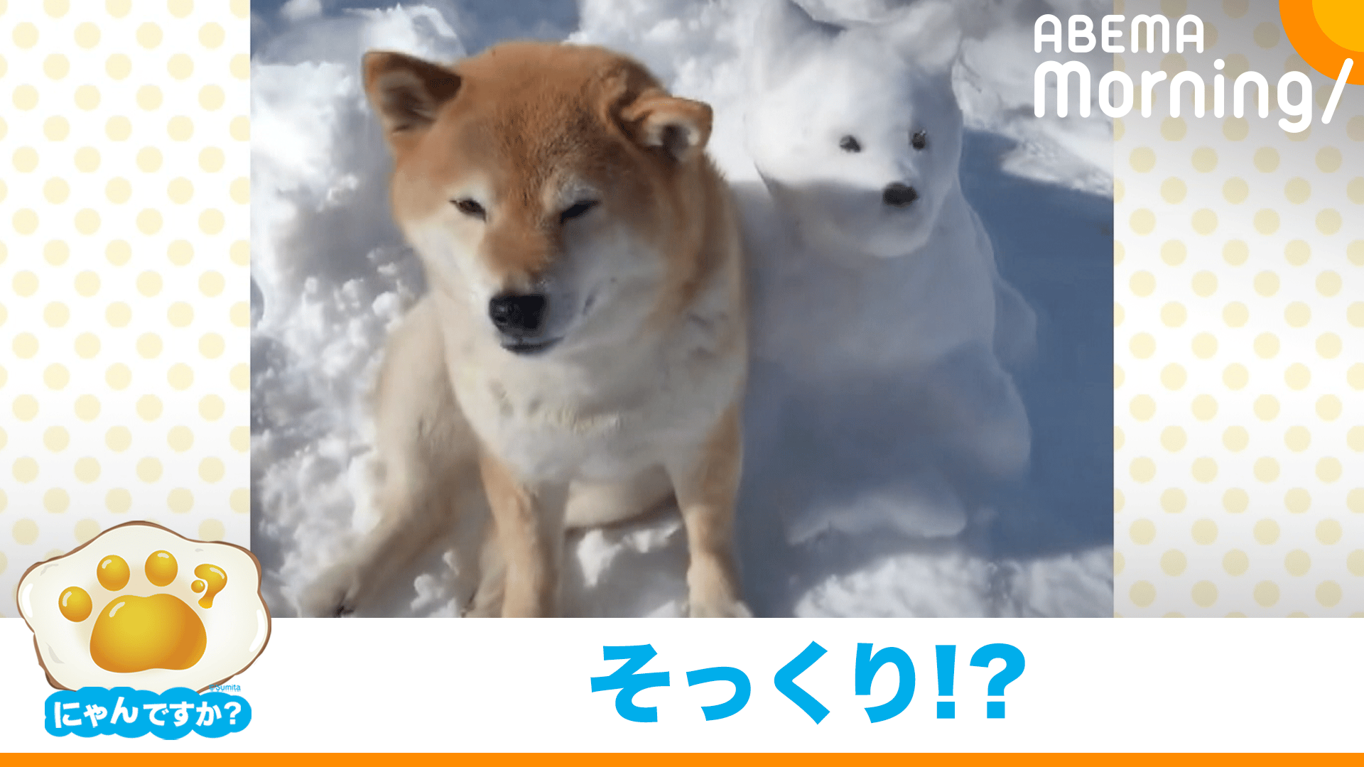 thumb001.png?height=720&