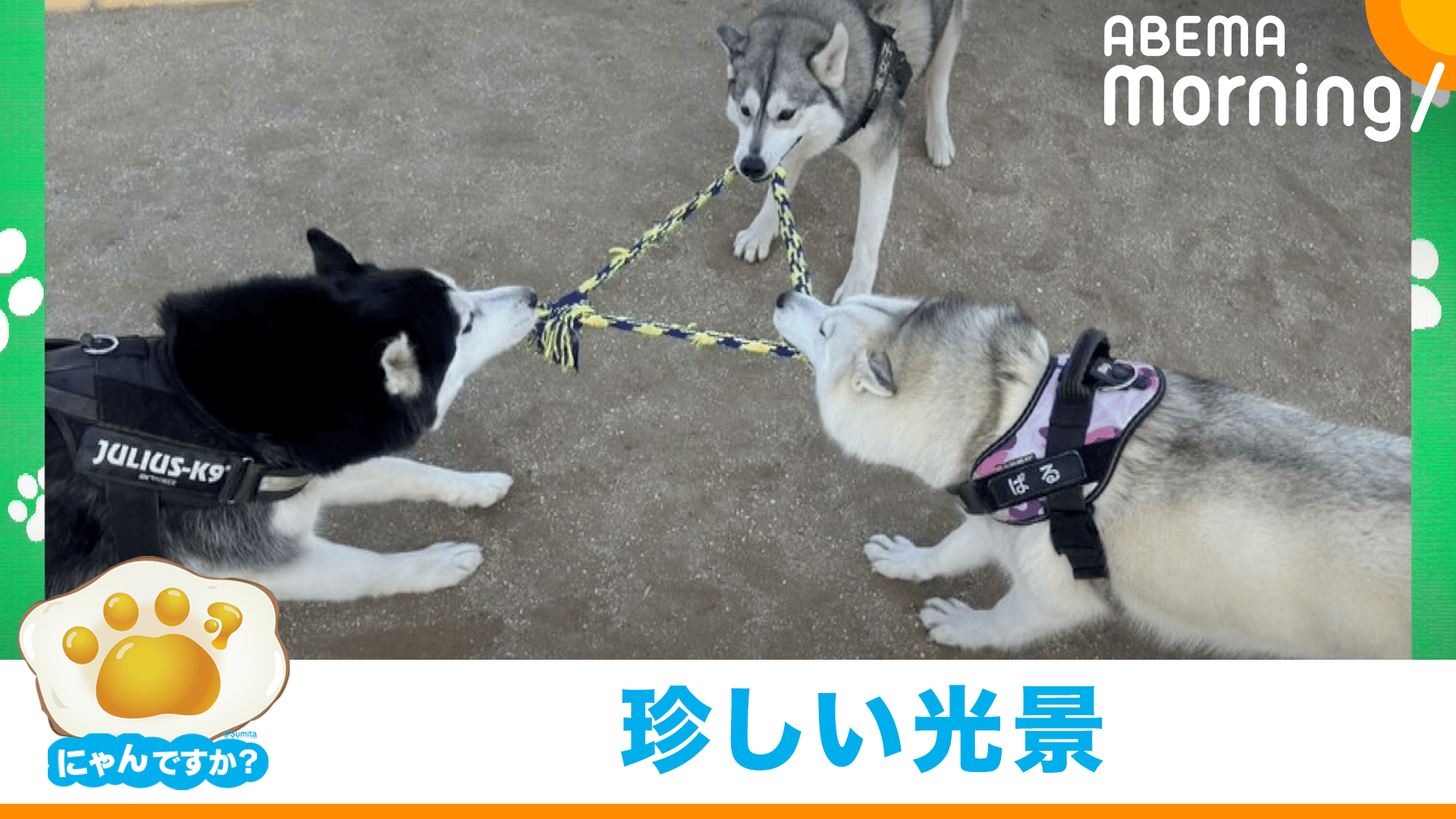 三角関係？