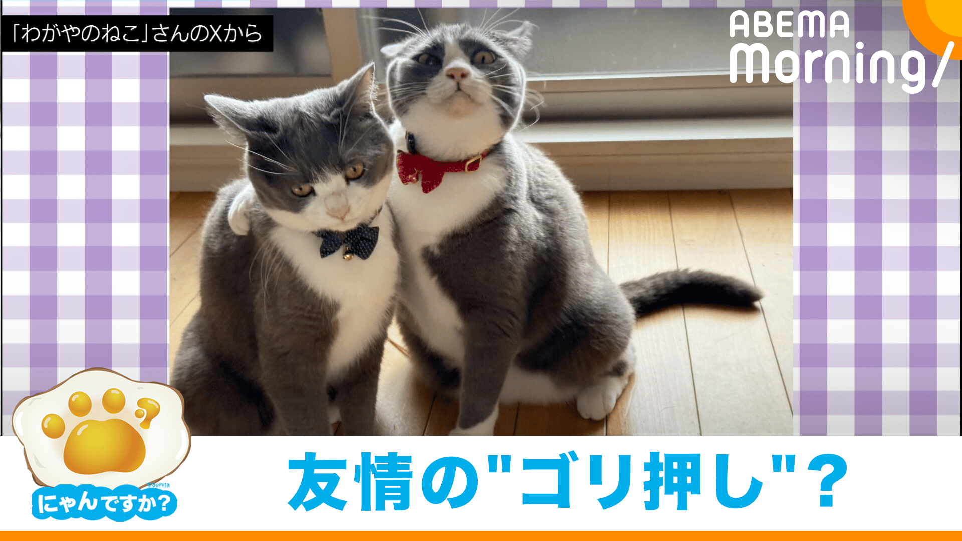thumb001.png?height=720&