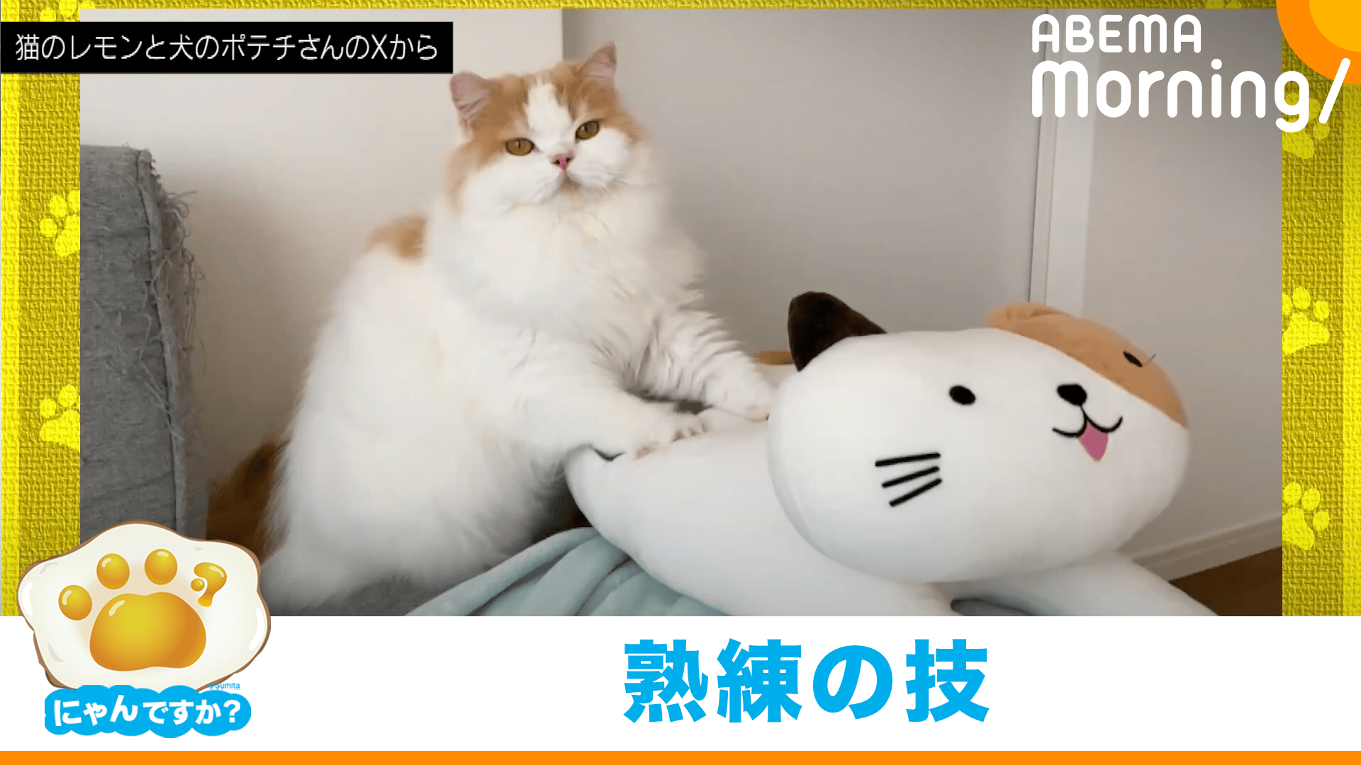 ふみねこ 12/20 23:59まで ぜんまい ふみふみねこ