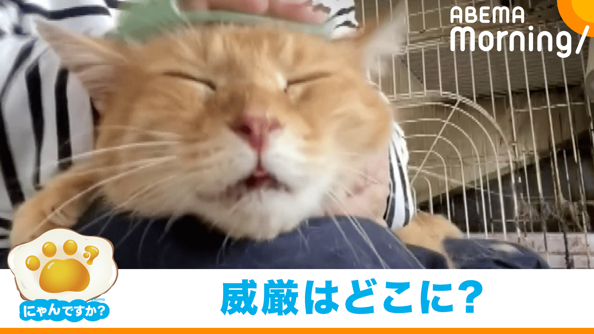 thumb001.png?height=720&