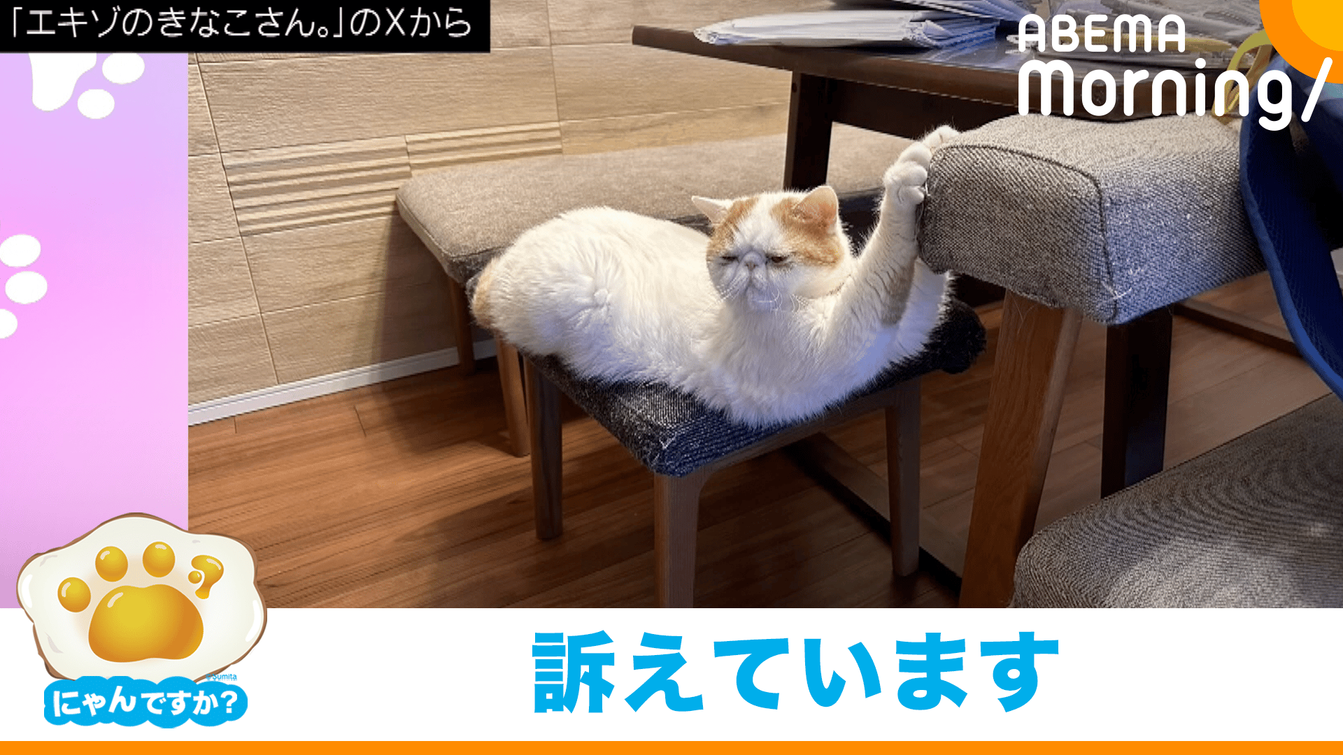 thumb001.png?height=720& 
