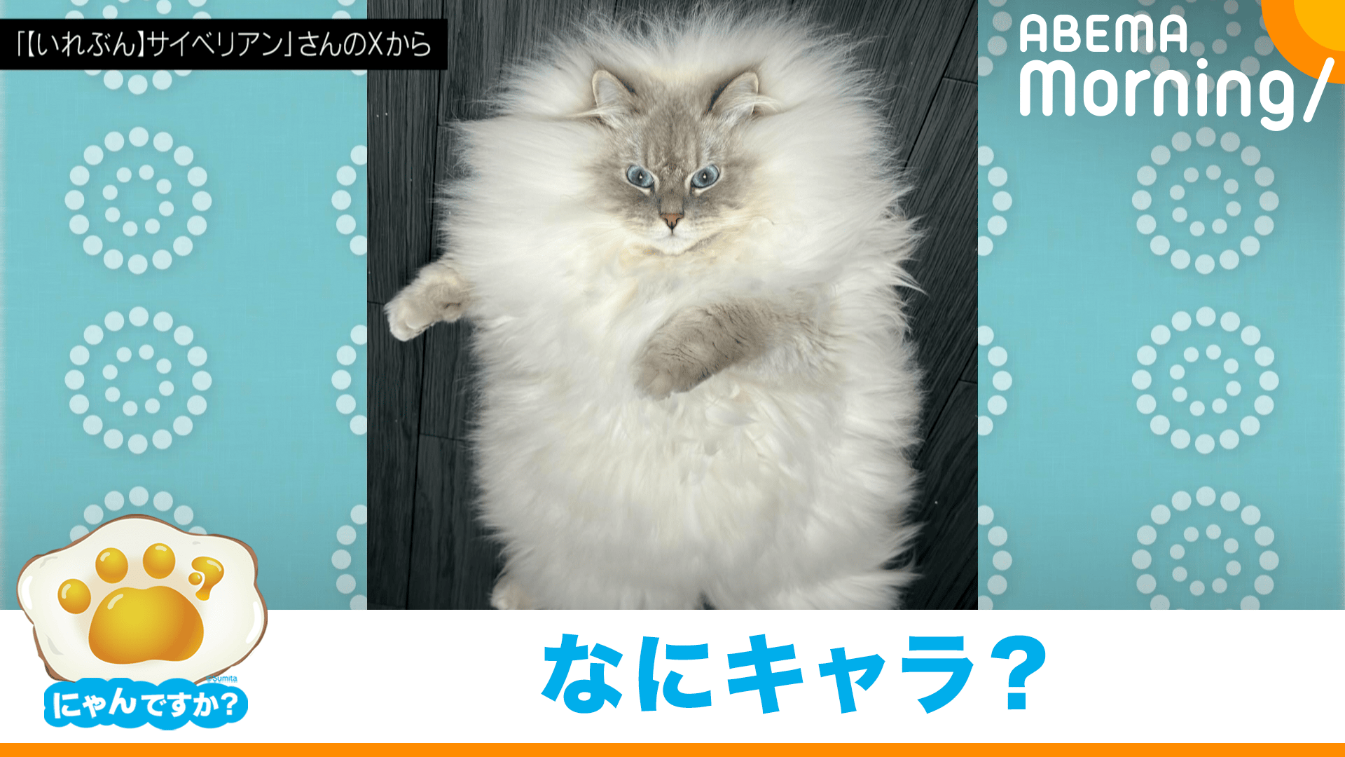 くーさん。様専用 クーさん様専用 Qoo（クー） ｜ 製品情報 ｜ 日本