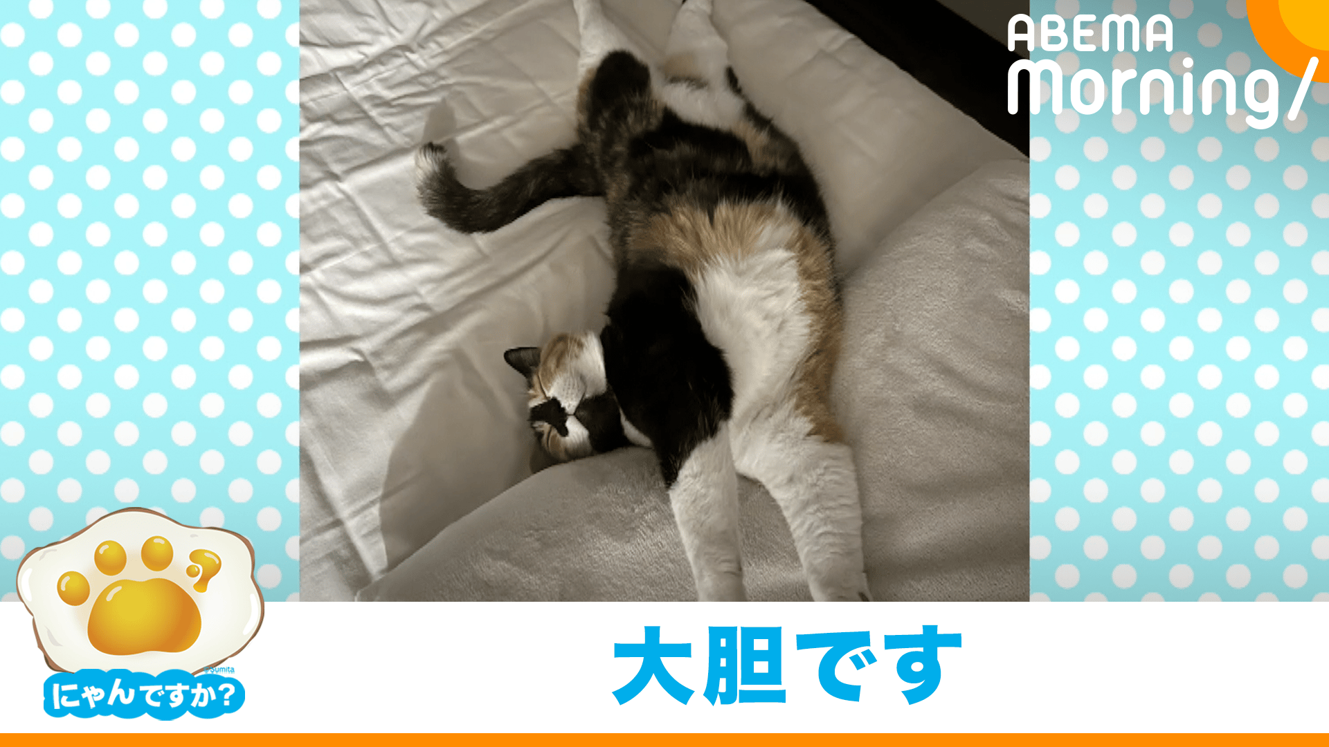 thumb001.png?height=720&