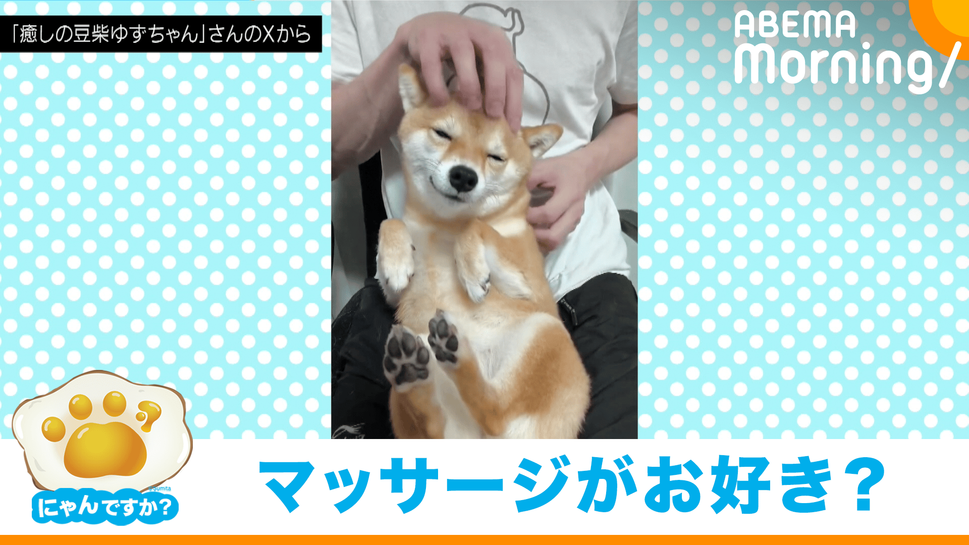 thumb001.png?height=720&