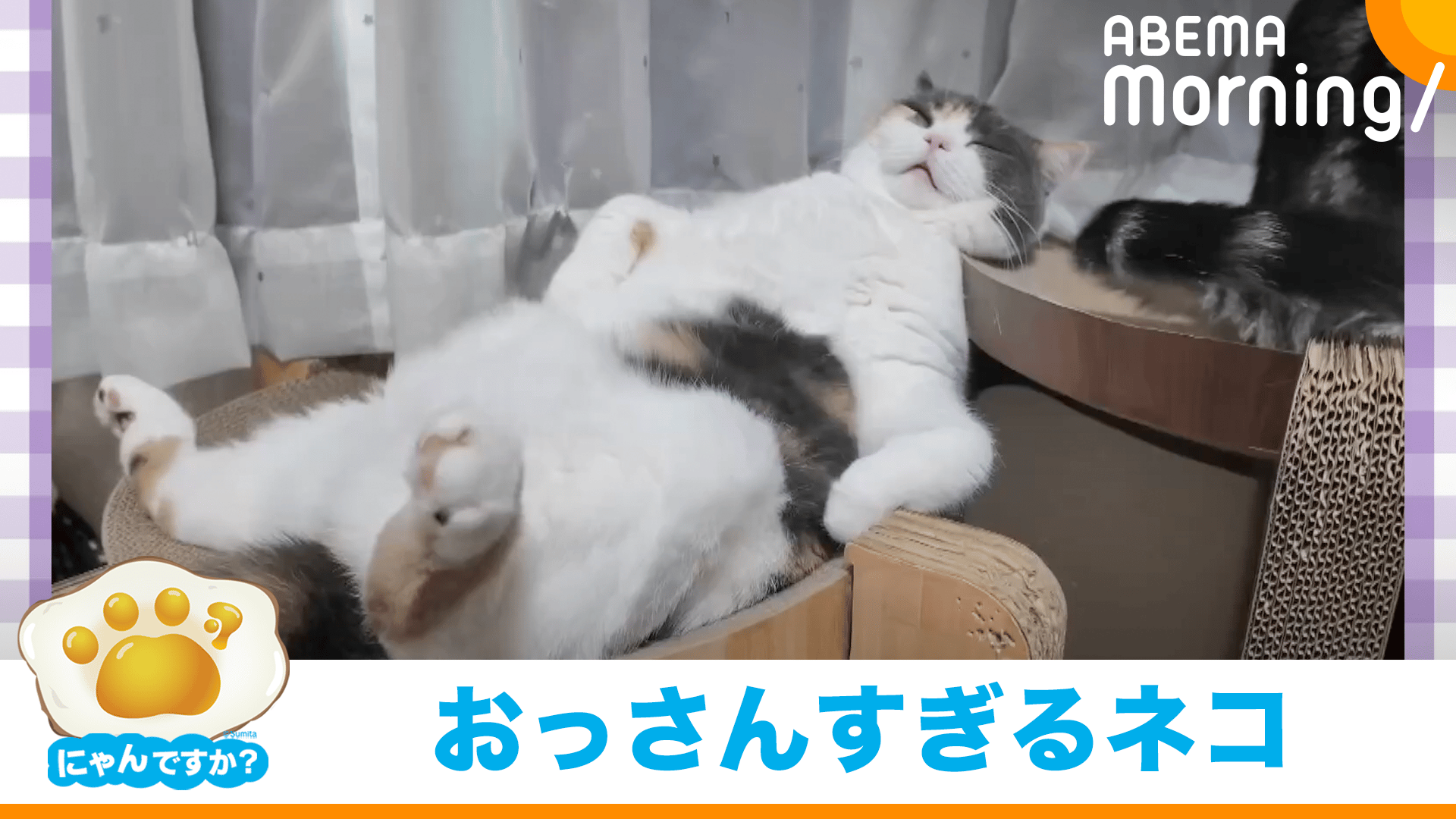 thumb001.png?height=720&