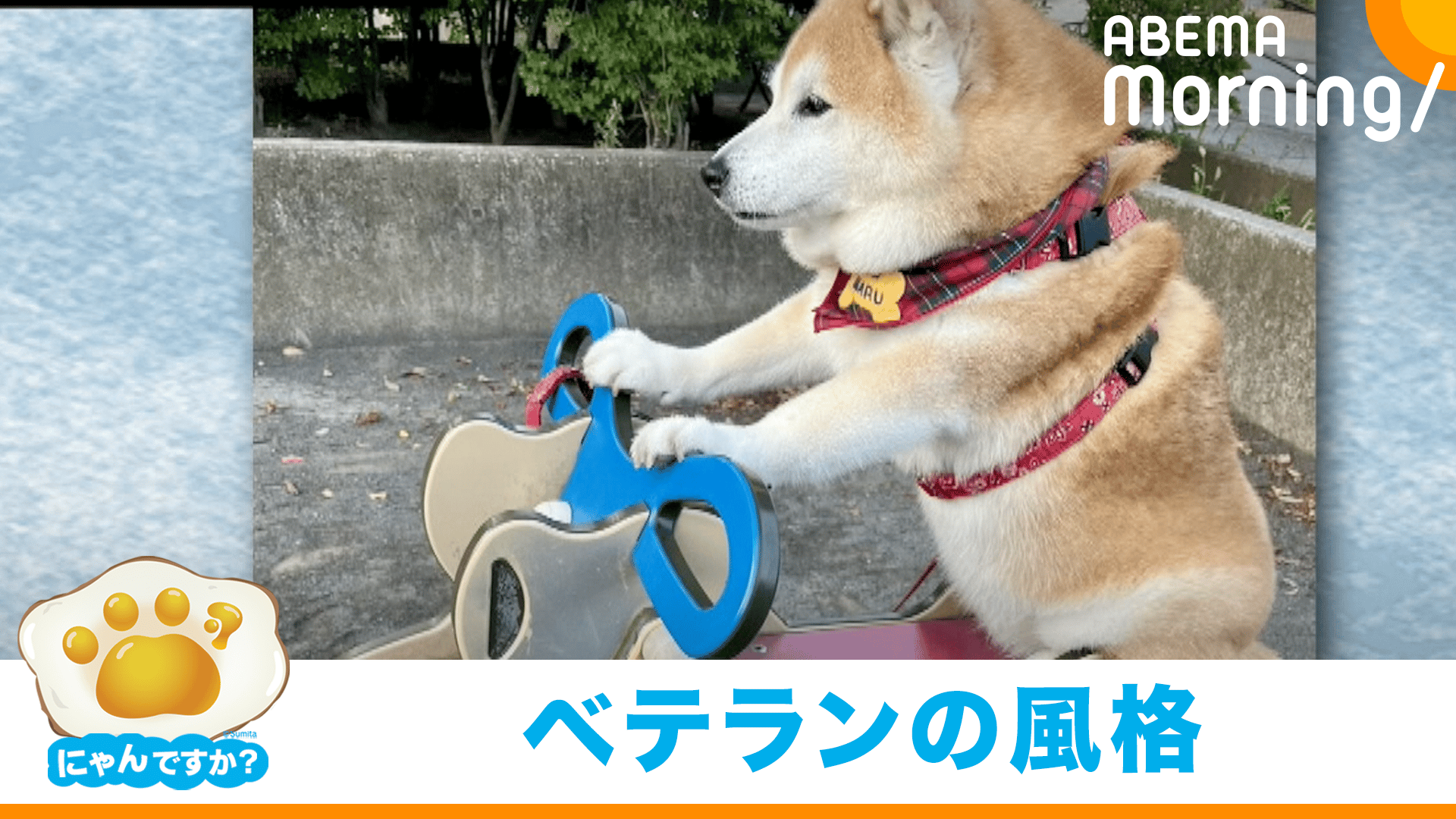数年ぶりに