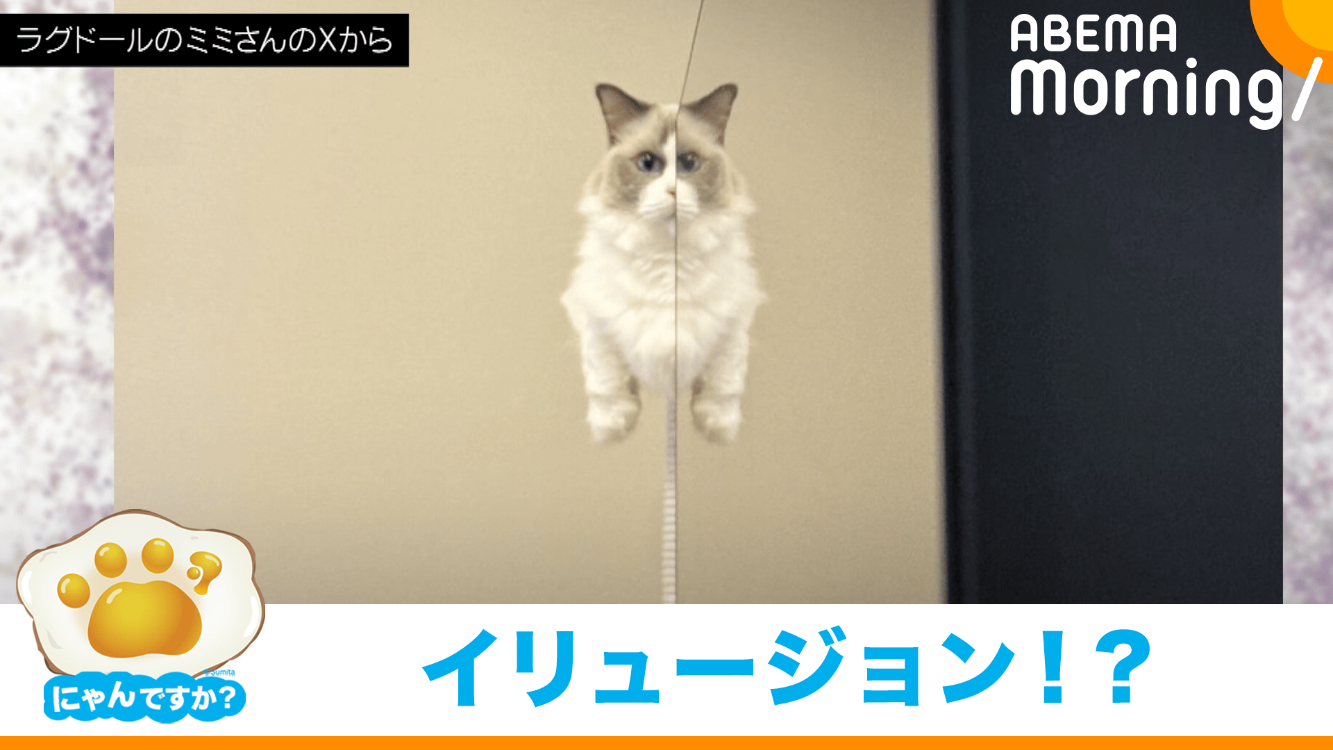 thumb001.png?height=720&