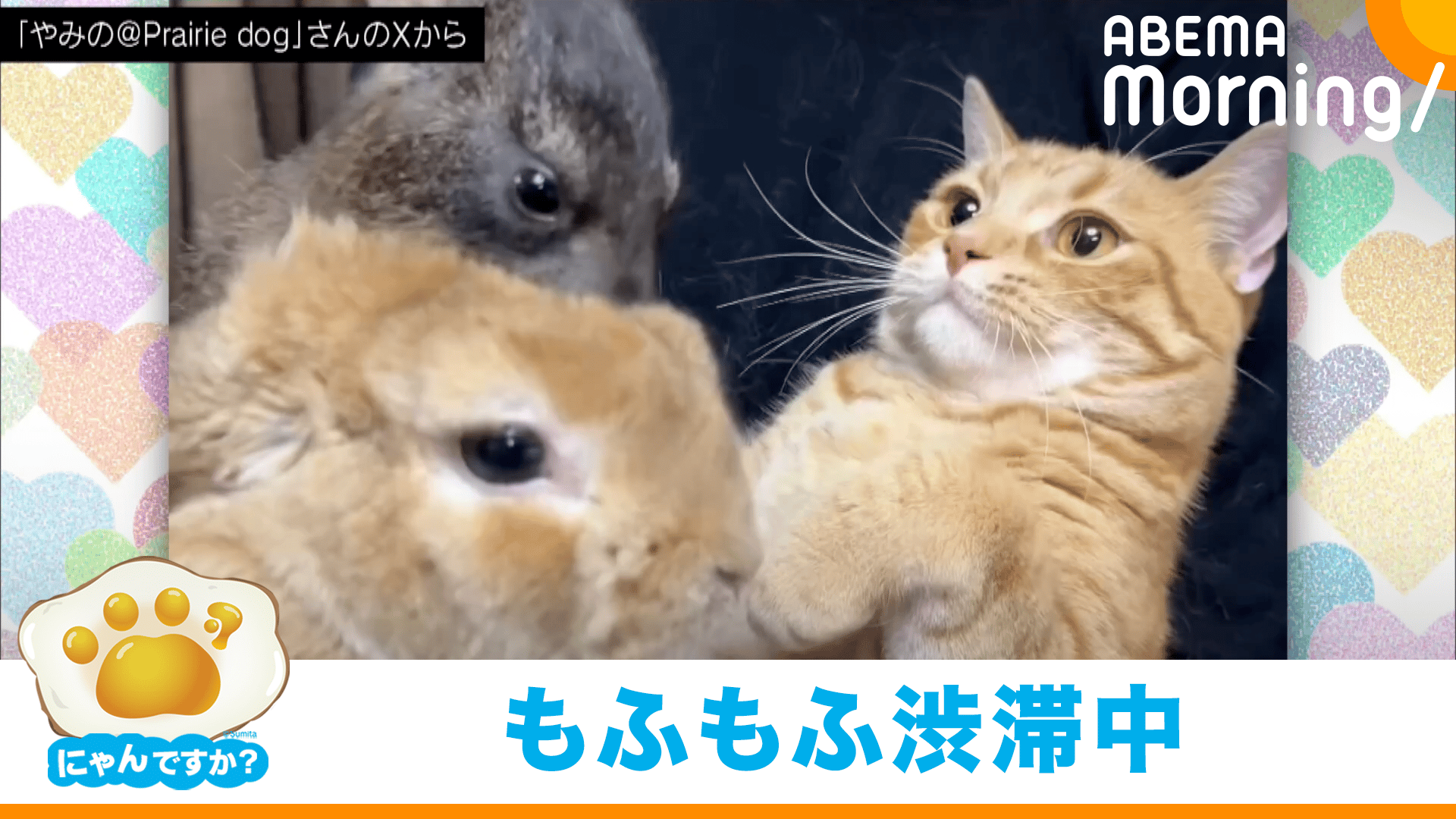 thumb001.png?height=720&