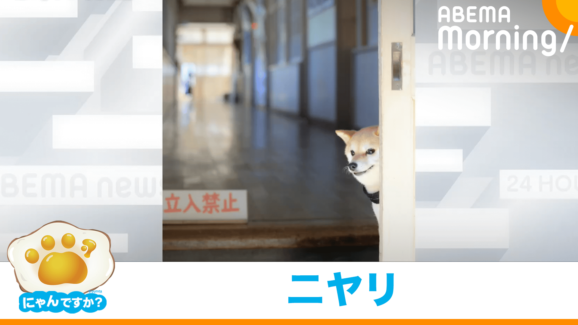 何かを企む?
